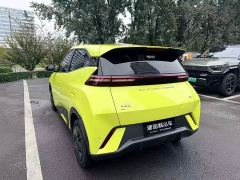 BYD Seagull Vitality Edition - photo 6