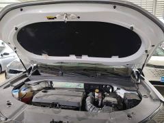 Chery Tiggo 9 2.0T DCT FWD Luxury 5-Seater - фото 19