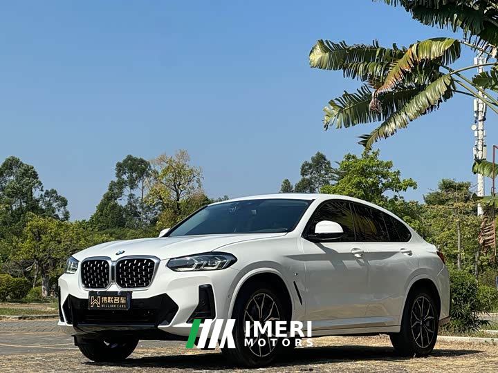 BMW X4 xDrive 25i M Sport Package - автомобиль из Китая