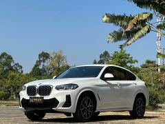 BMW X4 xDrive 25i M Sport Package - фото 1