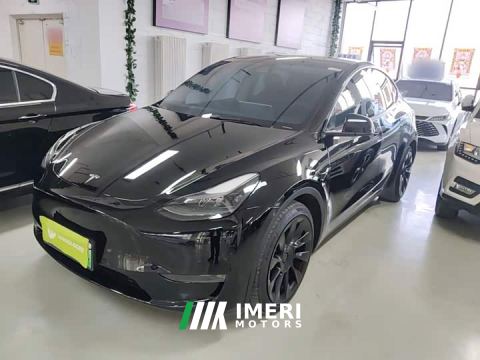 2021 Tesla Model Y Standard Range RWD - ავტომობილი ჩინეთიდან