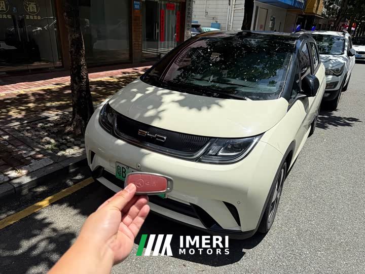 BYD Dolphin 2024 Honor Edition 420km Fashion Edition