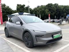 Tesla Model Y Rear-Wheel Drive - ფოტო 6