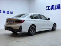 BMW 3 Series 320Li M Sport Package - ფოტო 18