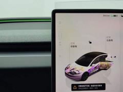 Tesla Model 3 Rear-Wheel Drive - photo 16