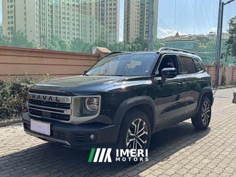 2023 Great Wall Dachshund 1.5T DCT Border Collie Edition - ავტომობილი ჩინეთიდან