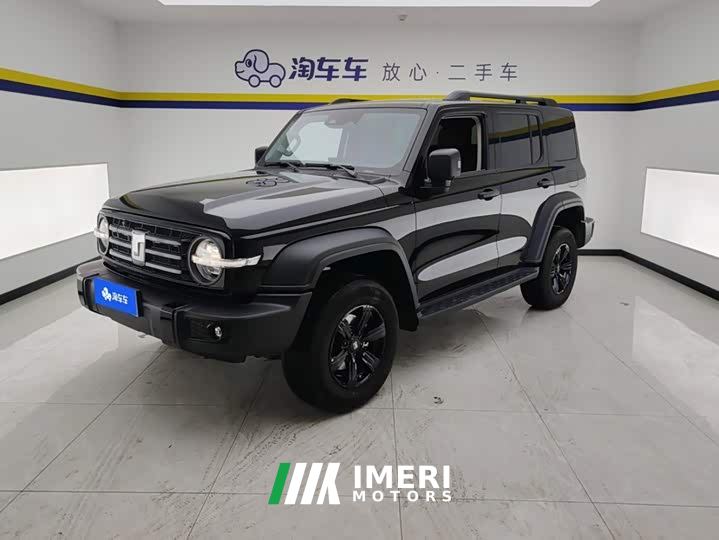 Tank 300 2.0T Gasoline Conqueror - car from China