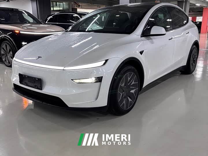 Tesla Model Y Long Range AWD - ავტომობილი ჩინეთიდან