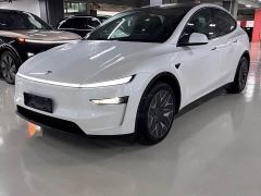 Tesla Model Y Long Range AWD - ფოტო 1