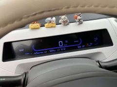 Geely Panda 210km Panda Kart - ფოტო 12