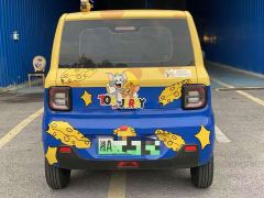Geely Panda 210km Panda Kart - ფოტო 5