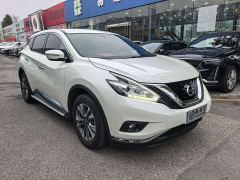Nissan Murano 2.5L XE FWD Elite - photo 2