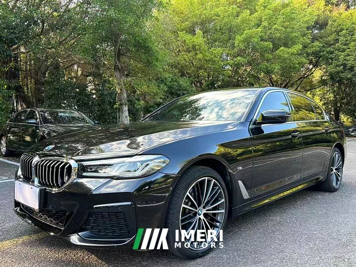 BMW 5 Series 530Li Premier M Sport Package - car from China