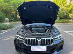 BMW 5 Series 530Li Premier M Sport Package - photo 12