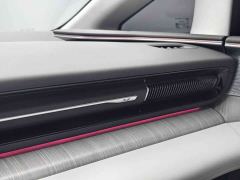 Xpeng X9 Extended Range 1602 Max - ფოტო 19