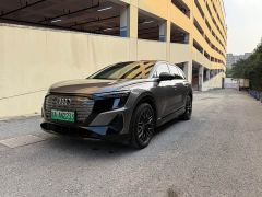 Audi Q5 e-tron 40 e-tron Stellar Edition Mecha Package - ფოტო 1