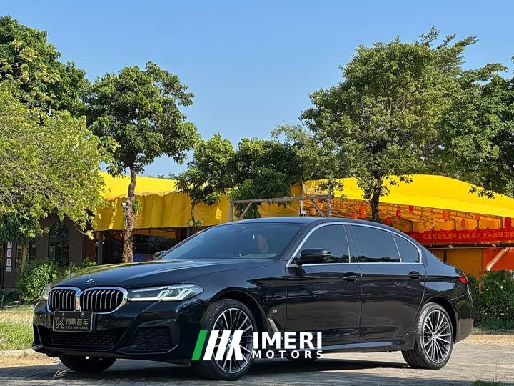 BMW 5 Series 530Li Premier M Sport Package - car from China
