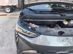GAC AION Y 70 Smart Leader Edition LFP - photo 19