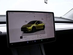 Tesla Model Y Rear-Wheel Drive - ფოტო 6