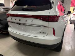 Haval H6 1.5T Two-Wheel Drive Max - ფოტო 6