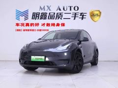 Tesla Model Y Rear-Wheel Drive - фото 1