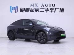Tesla Model Y Rear-Wheel Drive - фото 5