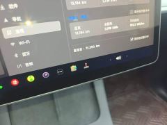 Tesla Model Y Rear-Wheel Drive - ფოტო 11