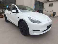 Tesla Model Y Rear-Wheel Drive - ფოტო 3