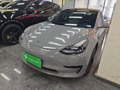 Tesla Model 3 Rear-Wheel Drive - фото 1