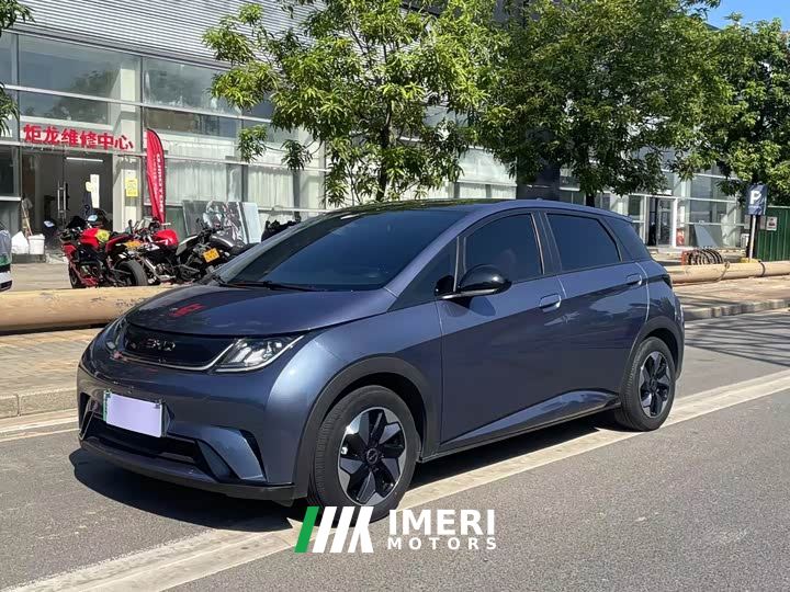 BYD Dolphin Glory Edition 420km Fashion Version - ავტომობილი ჩინეთიდან