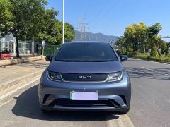BYD Dolphin Glory Edition 420km Fashion Version - ფოტო 2