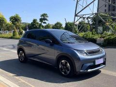 BYD Dolphin Glory Edition 420km Fashion Version - ფოტო 3