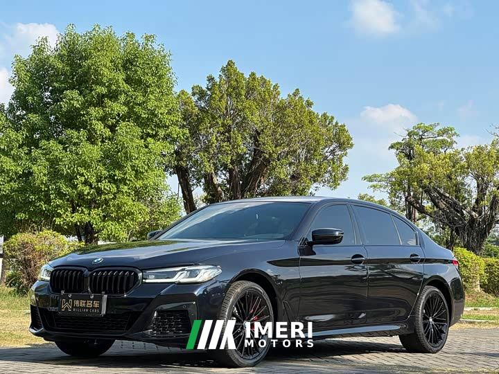 BMW 5 Series 530Li Premier M Sport Package - car from China