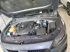 Geely Xingrui 2.0T Diesel Luxury - ფოტო 19