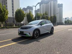 BYD Dolphin 405km Freedom Edition - ფოტო 1