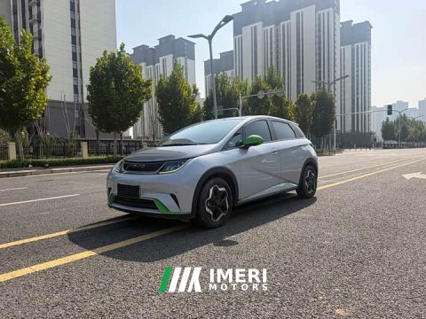 2022 BYD Dolphin 405km Freedom Edition - ავტომობილი ჩინეთიდან
