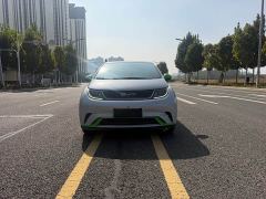 BYD Dolphin 405km Freedom Edition - ფოტო 2