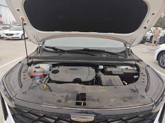 Geely Boyue 1.5TD Longteng Edition - ფოტო 19
