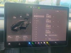 Tesla Model 3 Rear-Wheel Drive - ფოტო 14
