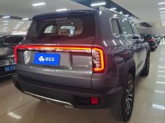Great Wall Dachshund 1.5T DCT Border Collie Edition - ფოტო 3