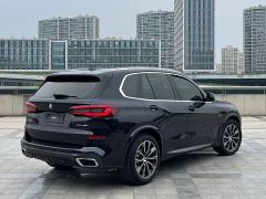 BMW X5 (Imported) xDrive40i M Sport Package - фото 15