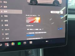Tesla Model Y Long Range All-Wheel Drive Launch Edition - ფოტო 11