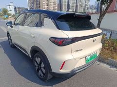 Wuling Bingguo S 325km Deluxe Edition - фото 6