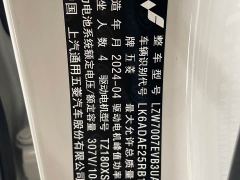 Wuling Binguo 333km Joy Edition - ფოტო 19
