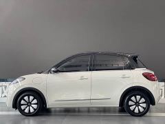 Wuling Binguo 333km Joy Edition - ფოტო 8