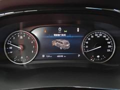 Buick GL8 Land Executive Cabin 652T Luxury - ფოტო 14