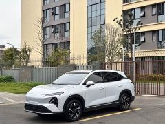 Wuling Xingguang S 510km Flagship - photo 1