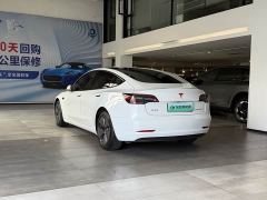 Tesla Model 3 Standard Range RWD Upgrade 3D6 - ფოტო 7