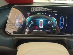ORA Good Cat 401km Standard Range Deluxe Edition LFP Battery - ფოტო 11