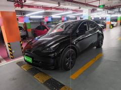 Tesla Model Y Rear-Wheel Drive - фото 1